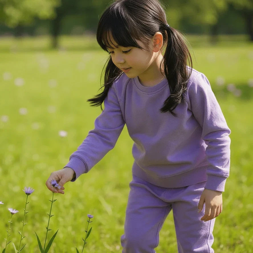 Comfy and Cozy Bestsellers