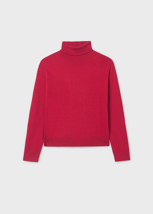 Girls Turtleneck Sweater