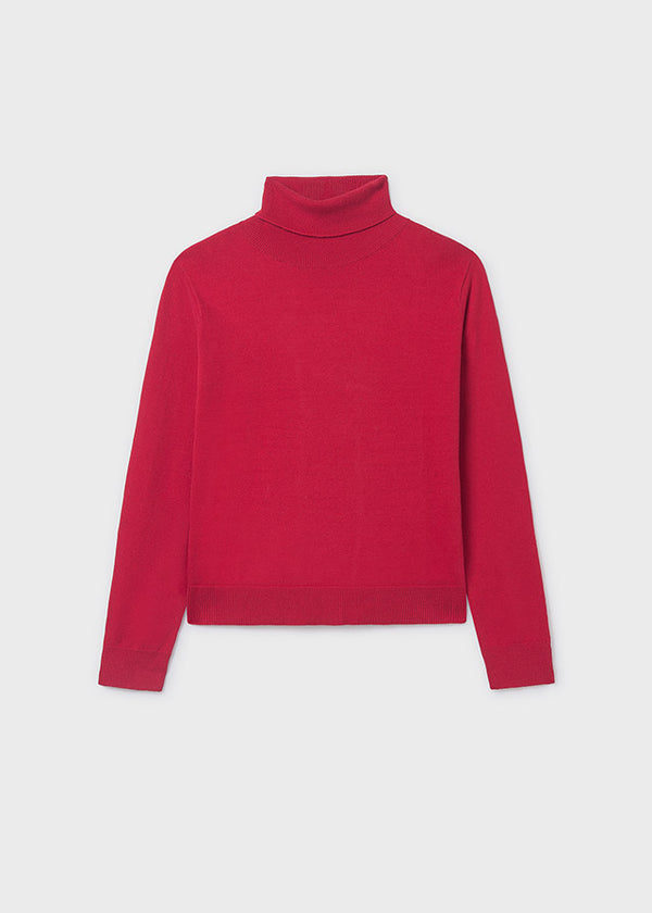 Girls Turtleneck Sweater
