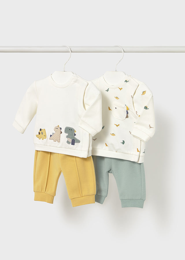 2 Piece Boys Dinosaur Shirt & Pants