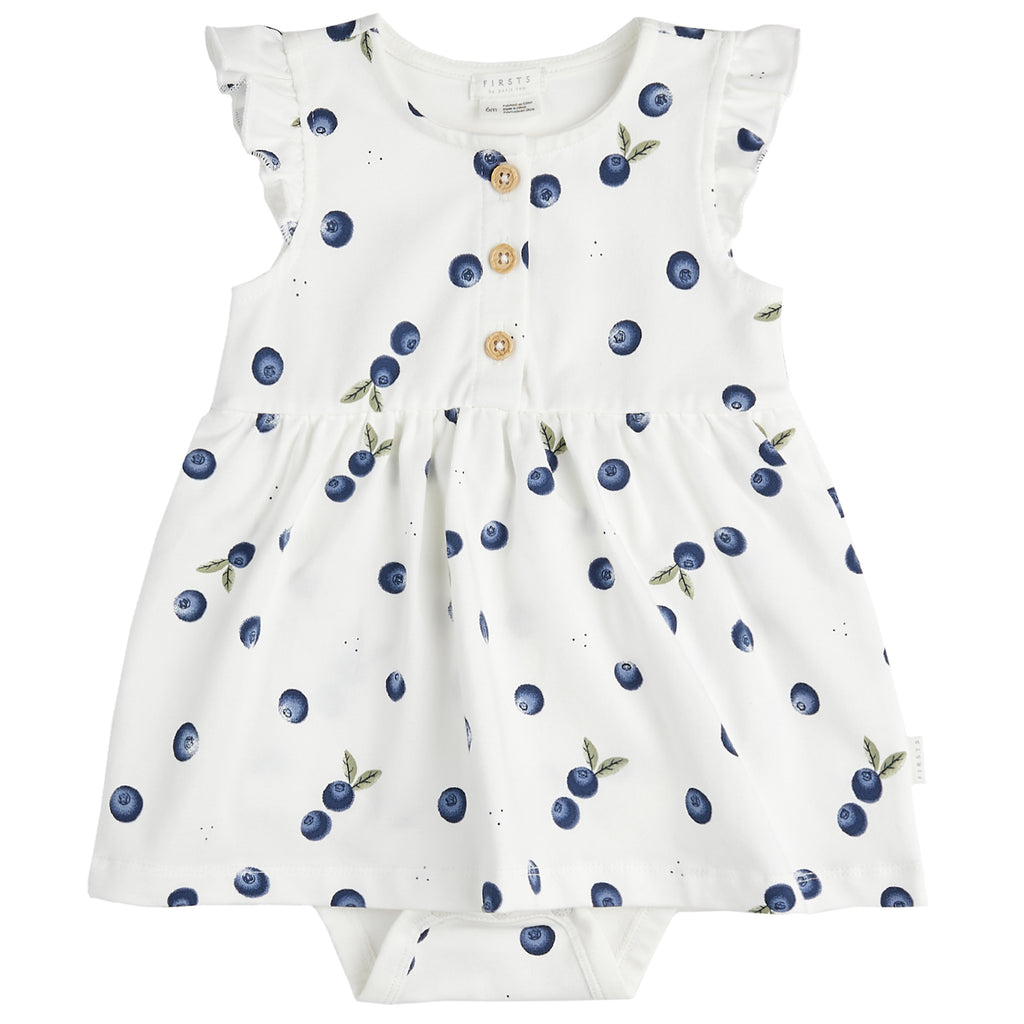 Petit Lem Girls Infants Dress Bodysuit Romper Blueberries Fruit Organic Cotton The Plaid Giraffe Childrens Boutique