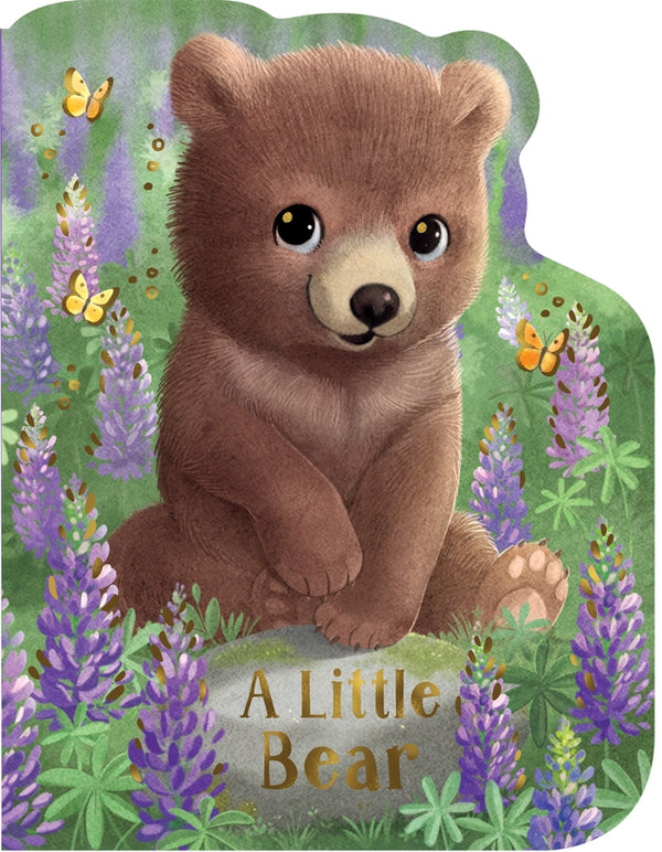 Cottage Door Press Girls Boys Unisex Infants Toddlers Kids Juniors A Little Bear Board Book Learning Bears Cubs The Plaid Giraffe Children's Boutique