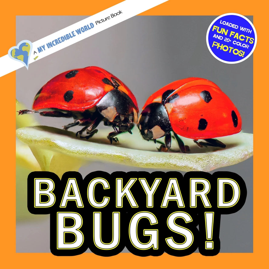 My Incredible World Backyard Bugs Picture Books Softcover Learning Ladybugs Insects The Plaid Giraffe Childrens Boutique