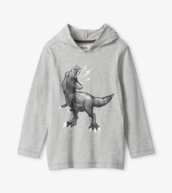 Hatley Boys Toddlers Kids Shirt Hoodie Dinosaurs The Plaid Giraffe Childrens Boutique