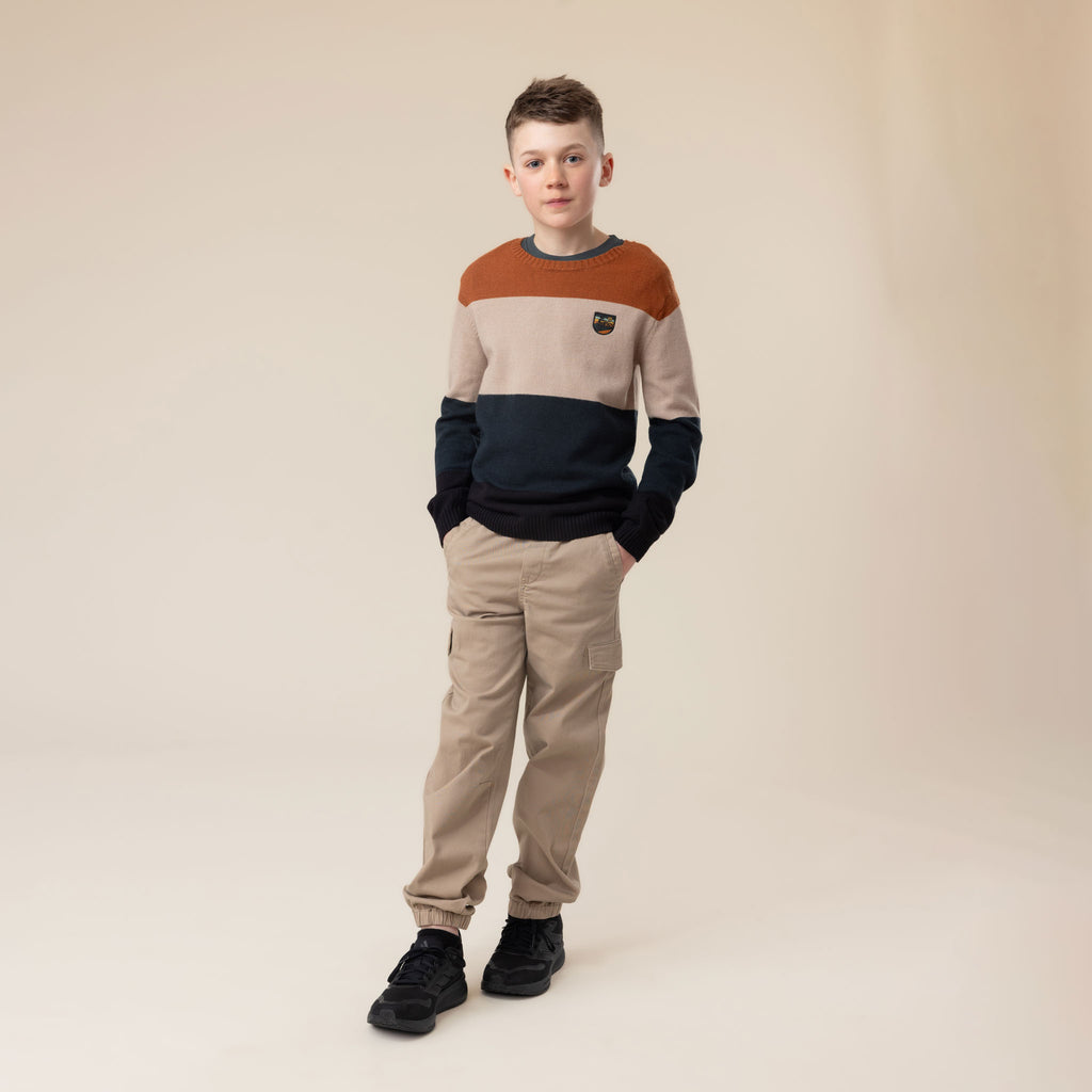 Boys Multi-Color Crew Neck Sweater