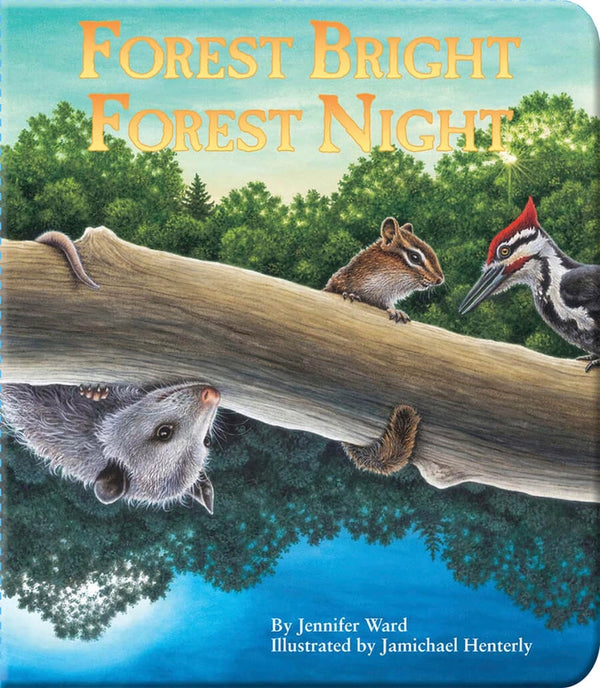 Forest Bright Forest Night Board Book