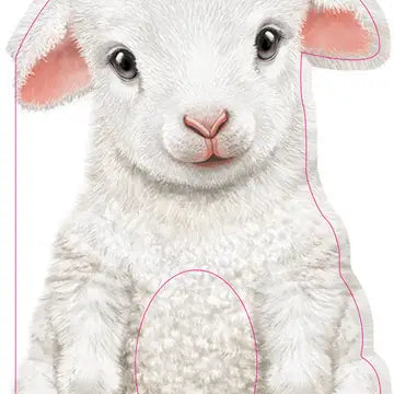 Sourcebooks Girls Boys Infants Toddlers Books Board Book Lamb Farm Animals The Plaid Giraffe Children's Boutique