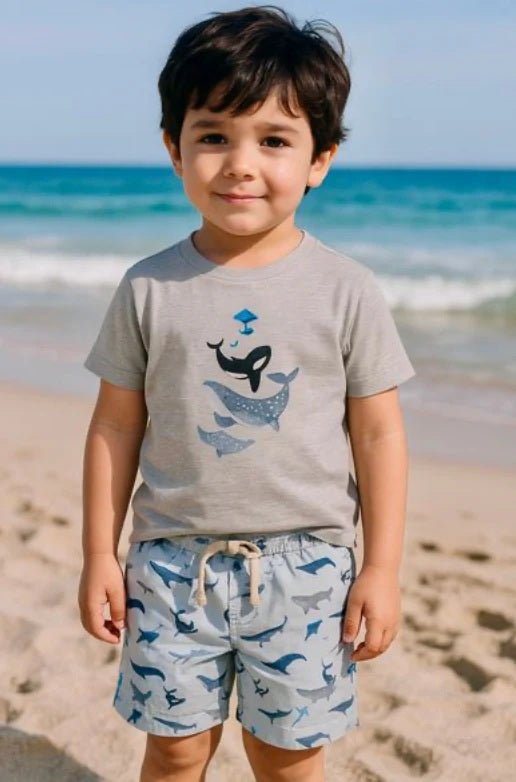 Boys S/S Falmouth Whale T-Shirt