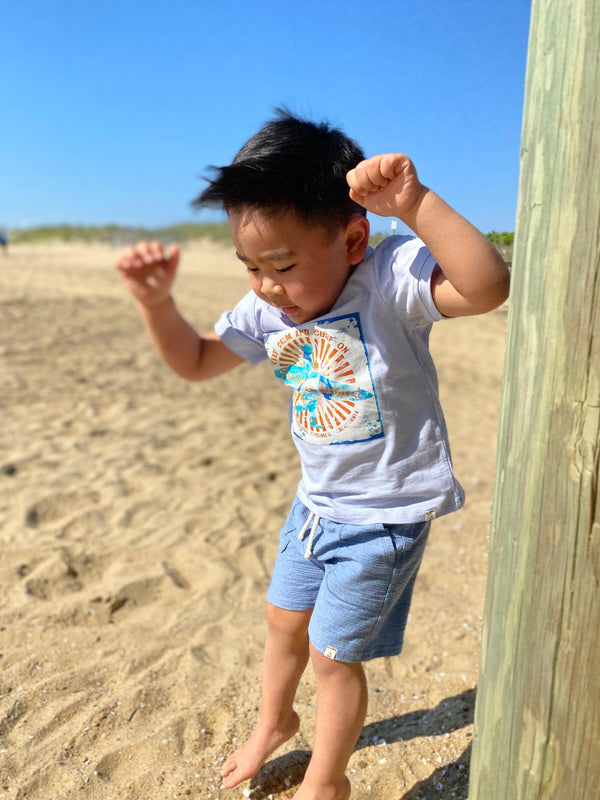 Boys Knit Bluepeter Shorts