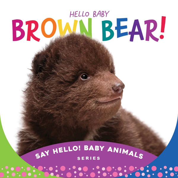Sleeping Bear Press Hello Baby Brown Bear Board Book Bears Forest Animals The Plaid Giraffe Childrens Boutique