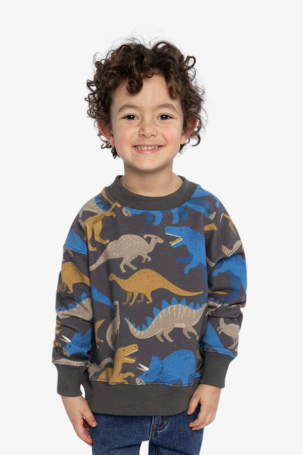 Boys Dinosaur Sweatshirt