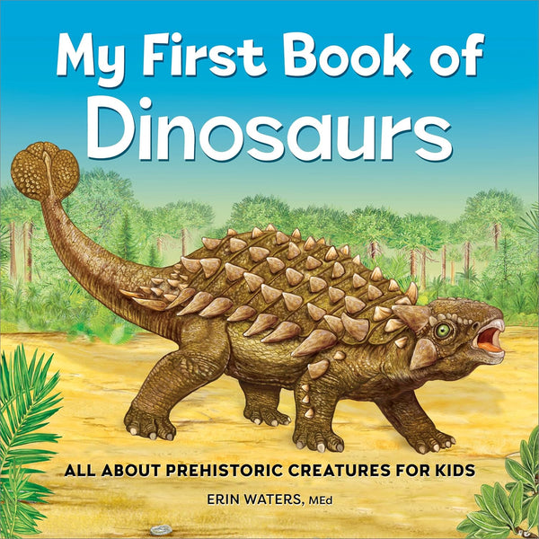 Sourcebooks Girls Boys My First Book Of Dinosaurs Soft Cover Picture Book Learning The Plaid Giraffe Childrens Boutique