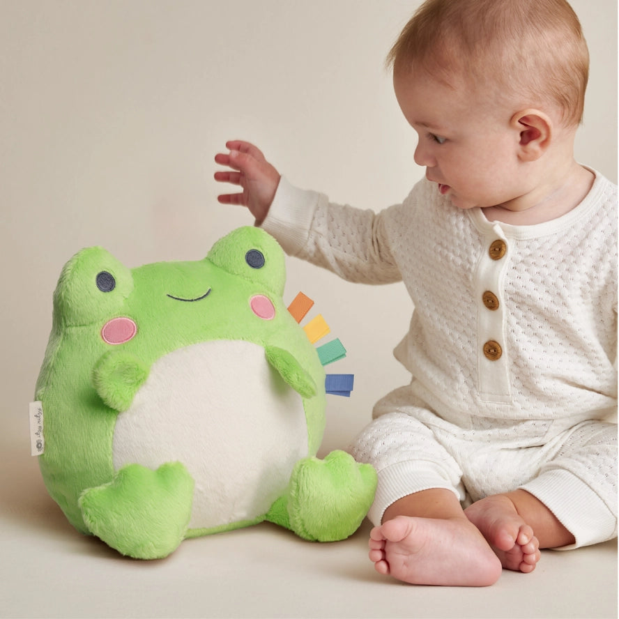 Itzy Ritzy Girls Boys Unisex Infants Toddlers Kids Sweetie Snuggles Plush Freddie the Frog Stuffed Animals Toys Interactive Textures Learning The Plaid Giraffe Children's Boutique
