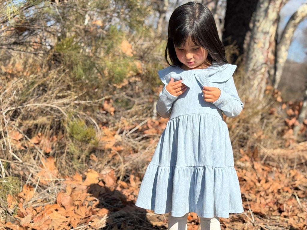 Girls L/S Jenny Dress, Blue / 10 / JGD Girls L/S Jenny Dress, Blue / 10 / JGD