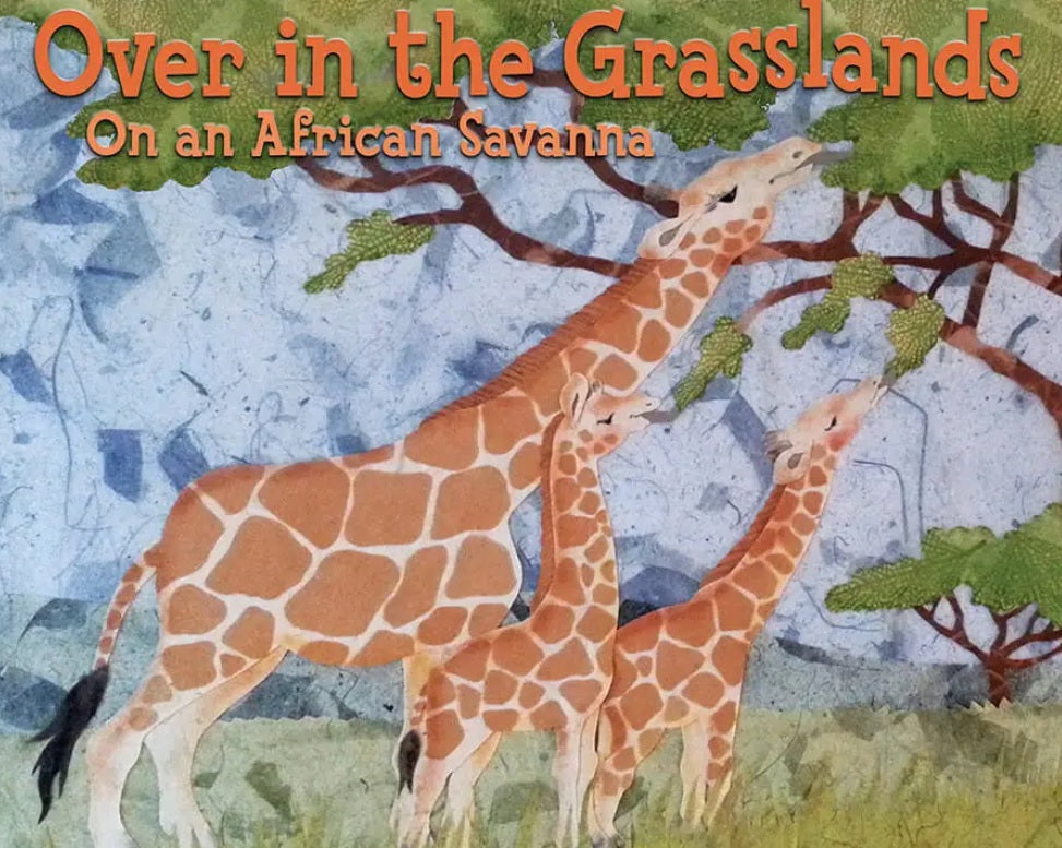 Sourcebooks Books Picture Book Africa Jungle Animals Grasslands The Plaid Giraffe Childrens Boutique